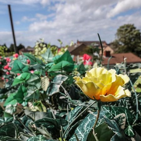 St Hilda Guesthouse リヴァプール エクステリア 写真